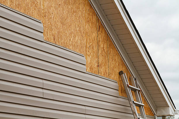 Professional Wood Siding technician working in Forest Park, OH